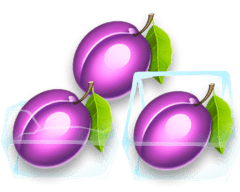 Purple plums encased in ice cubes