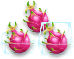 Dragon fruits encased in ice