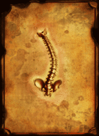 Skeletal Symbol L4